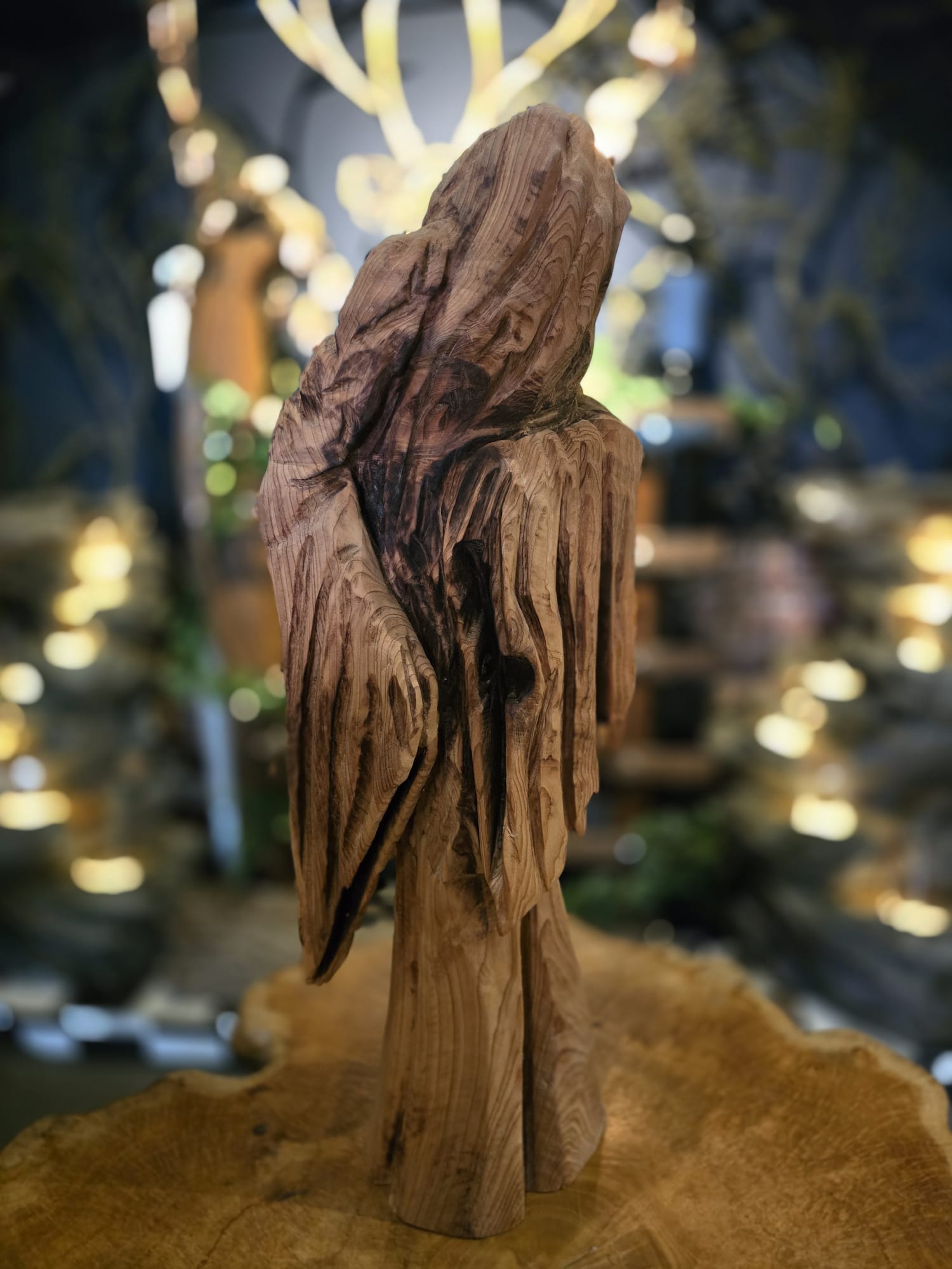 The Sentry