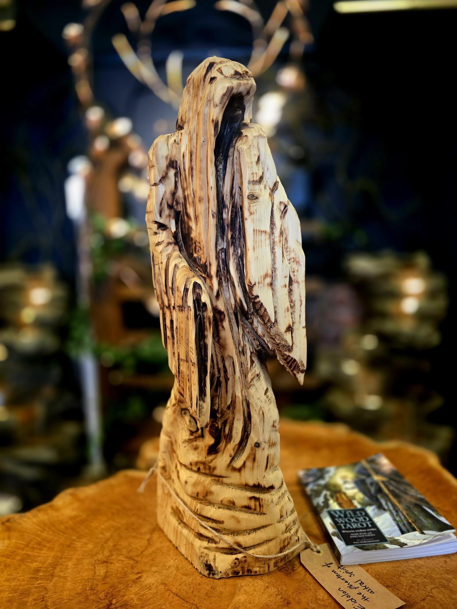 The Eidolon