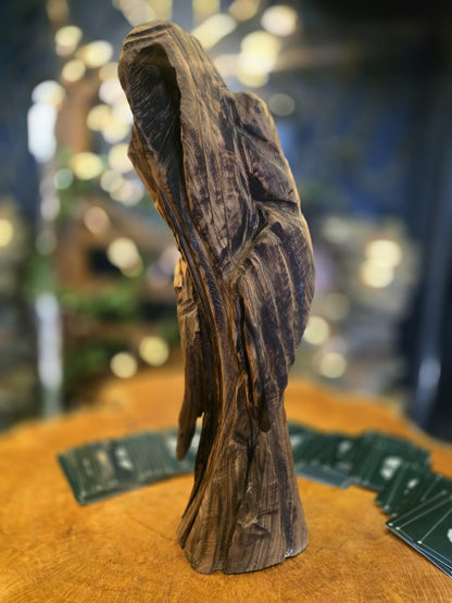 The Vireo